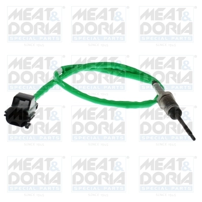 Sensor, exhaust gas temperature 12817