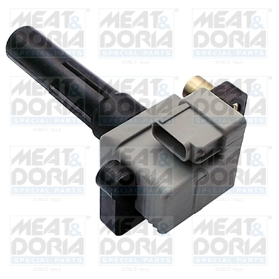 Ignition Coil 10678