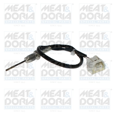 Sensor, exhaust gas temperature 12805