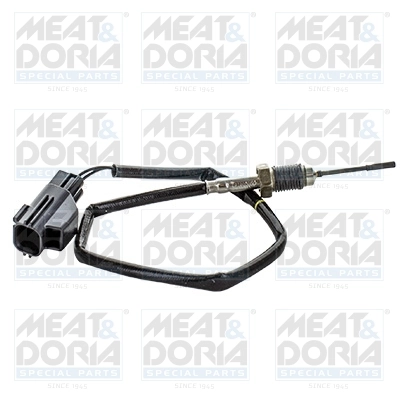 Sensor, exhaust gas temperature 12432