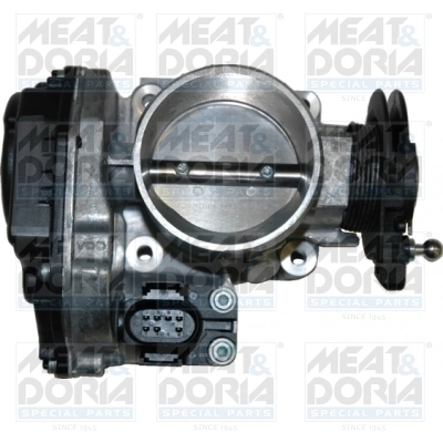 Throttle Body 89020