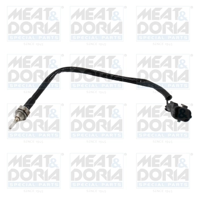 Sensor, exhaust gas temperature 12636