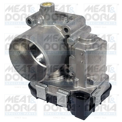 Throttle Body 89197