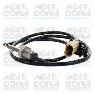 Sensor, exhaust gas temperature 12391
