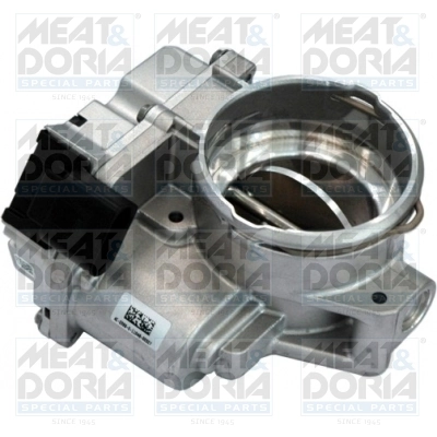 Throttle Body 89071