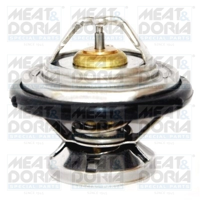 Thermostat, coolant 92195