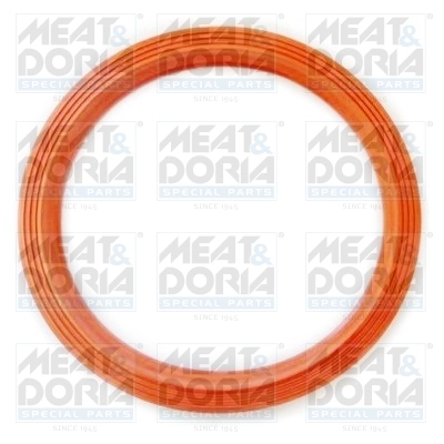 Seal, fuel tank cap GSK09