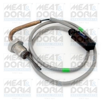 Sensor, exhaust gas temperature 12384