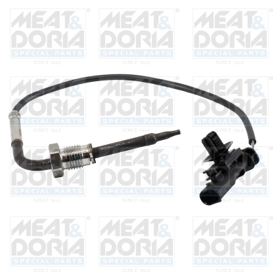 Sensor, exhaust gas temperature 12615