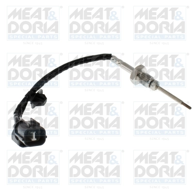 Sensor, exhaust gas temperature 12698