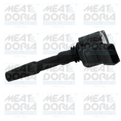 Ignition Coil 10602
