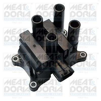 Ignition Coil 10684