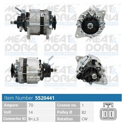 Alternator 5520441