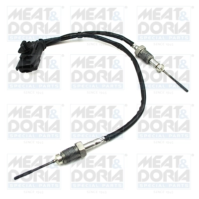 Sensor, exhaust gas temperature 12448