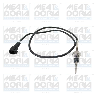 Sensor, exhaust gas temperature 12474