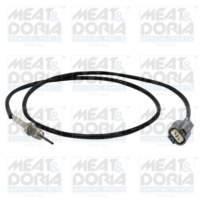 Sensor, exhaust gas temperature 12441