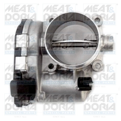Throttle Body 89307