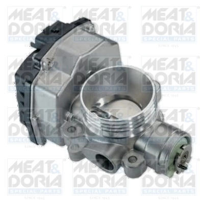 Throttle Body 89045