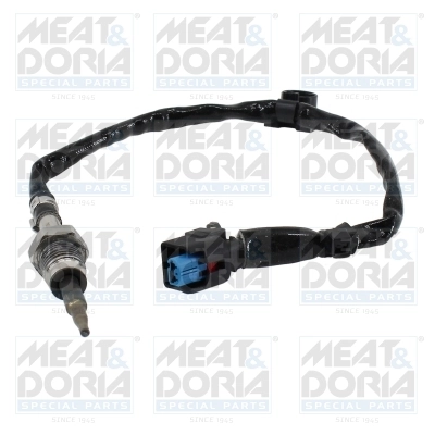 Sensor, exhaust gas temperature 12620
