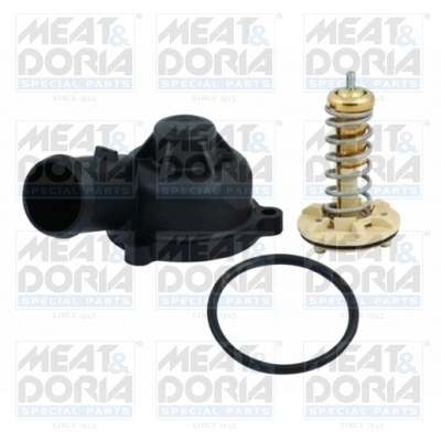 Thermostat, coolant 92621K