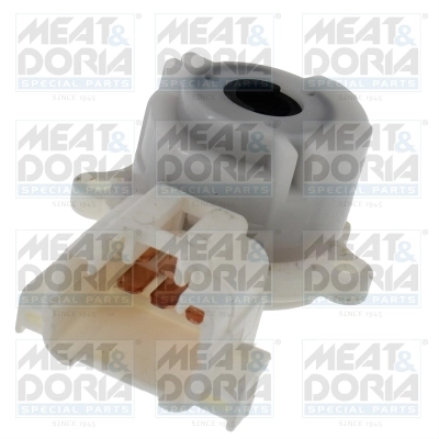 Ignition Switch 24061