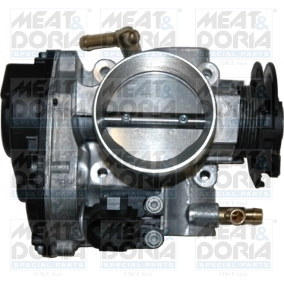 Throttle Body 89022