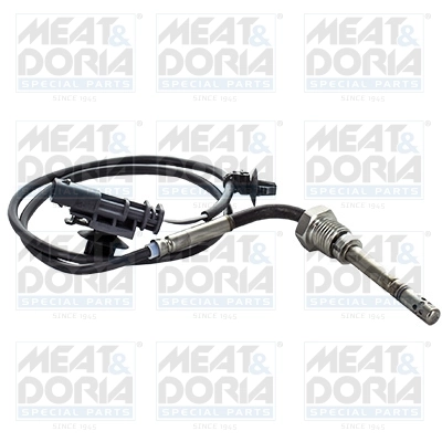 Sensor, exhaust gas temperature 12374