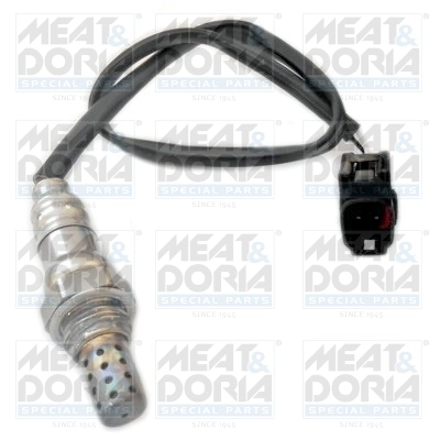 Oxygen Sensor 81620
