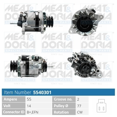 Alternator 5540301