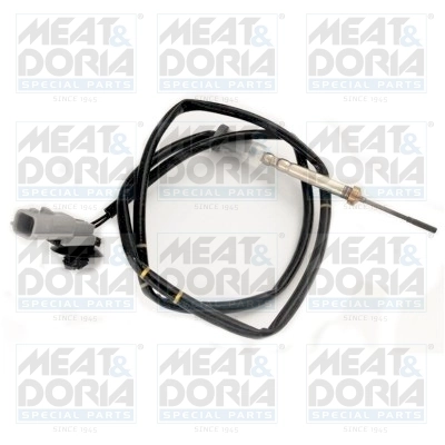 Sensor, exhaust gas temperature 12288