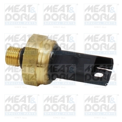 Sensor, fuel pressure 825001