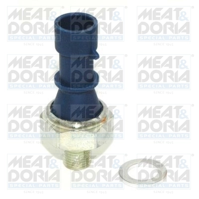 Oil Pressure Switch 72036