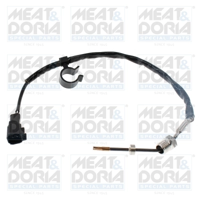 Sensor, exhaust gas temperature 12776