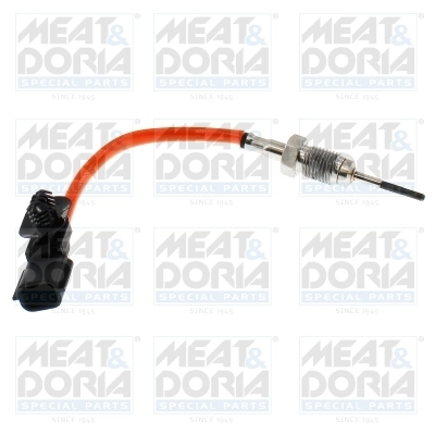 Sensor, exhaust gas temperature 12631