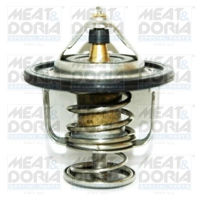 Thermostat, coolant 92310