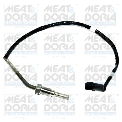 Sensor, exhaust gas temperature 12013