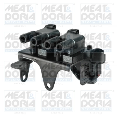 Ignition Coil 10368