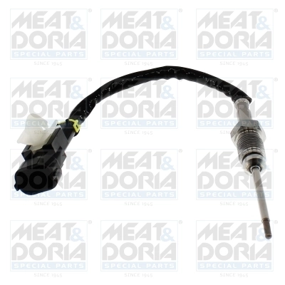 Sensor, exhaust gas temperature 12793