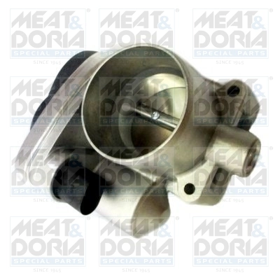 Throttle Body 89029