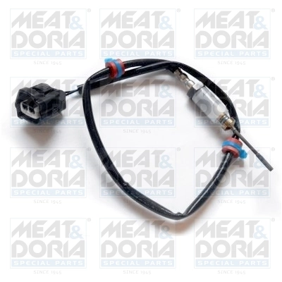 Sensor, exhaust gas temperature 12176
