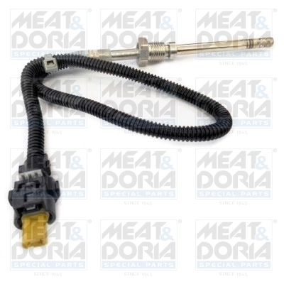 Sensor, exhaust gas temperature 12103