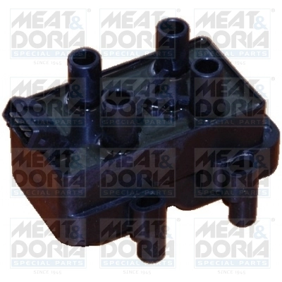 Ignition Coil 10388