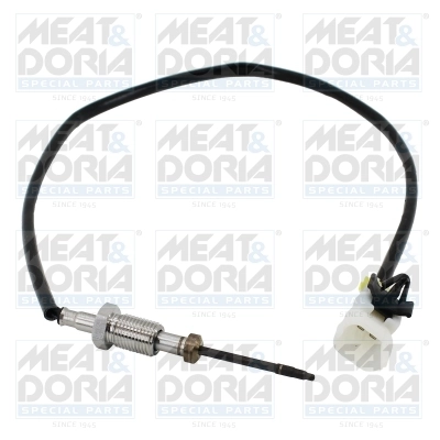 Sensor, exhaust gas temperature 12451