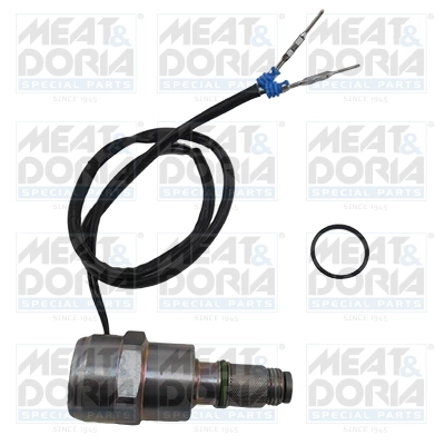 Fuel Cut-off, injection system 9031