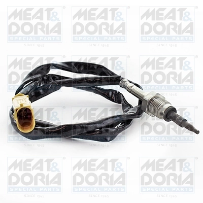 Sensor, exhaust gas temperature 12361