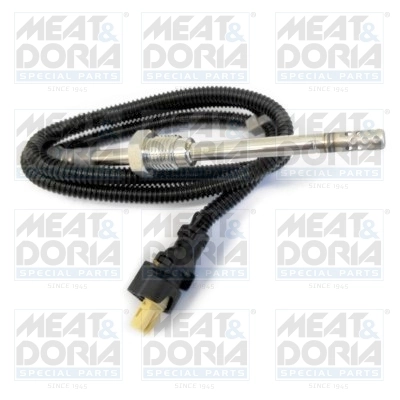 Sensor, exhaust gas temperature 11975