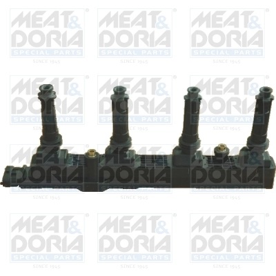 Ignition Coil 10469