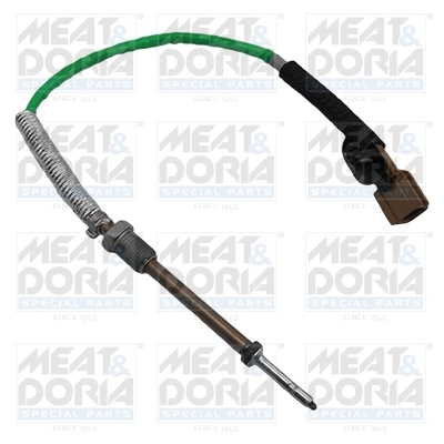 Sensor, exhaust gas temperature 12293