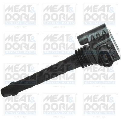 Ignition Coil 10687