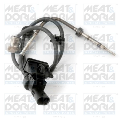Sensor, exhaust gas temperature 12204